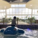 (주)신화푸드 아씨시 | 제주도 아이랑겨울제주도여행 제주도숙소 | 제주신화월드신화관 | 신화월드워터파크 | 신화월드푸드코트