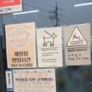 펫클럽 계양점 이미지