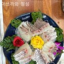 마쓰까와정성