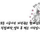 할렐루야악기사