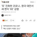 ‘또’ 진화한 코로나…영국·대만서 새 변이 ‘XE’ 감염 이미지