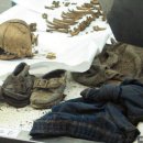 서성초등학교 이미지