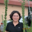 영명농장 이미지