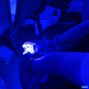 하우스콘서트 6월 | 6월 홍콩여행 리뷰 ④✈️ 태연 홍콩 콘서트 후기 &amp; 베이크하우스/제니쿠키 오픈런/기화병가/랄프스 커피까지