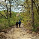 초막골 생태공원 이미지