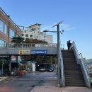 장사도해상공원 | [통영] 유람선터미널에서 장사도해상공원가는 방법 | 통영여행 | 통영가족여행코스 추천