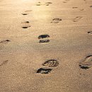 탄소발자국과 지구의 미래 이미지