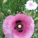 한성부동산 이미지