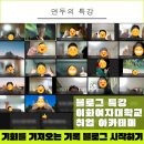 대학 취업 아카데미 강의 후기, 브랜딩 블로그를 운영한다는 것