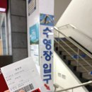 서귀포올림픽기념국민생활관 체육관 | 대구 올림픽 수영장 주말 토요일 대체공휴일 자유수영 방문후기