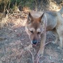 정돌이네 이미지