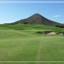 신용티에스 이미지