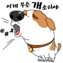 표나개 반려애견 미용실 이미지