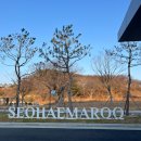 1층 대회의실 | ☀️ 일몰이 아름다운 서해마루 유스호스텔 가족여행 후기｜2인실·4인실·부대시설 총정리!