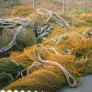 설도젓갈타운 이미지