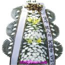 문남희 Daum카페