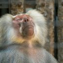 오늘도 숨 이미지