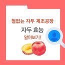 새콤달콤과일공장