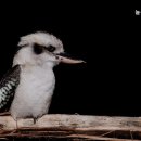 늘푸른요양원 이미지