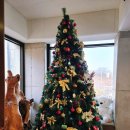 남촌회관 | 수산동카페 가성비최고 빵맛집 남촌회관