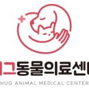 야옹동물병원