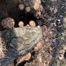 용수농장 이미지