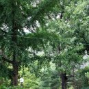 후평숲캠핑장 이미지