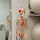 용산-204 | 🤰 예비맘도 안심! 필라테스 스튜디오43, 신용산필라테스 소도구 체험 후기