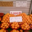 예대어린이집 | 25.12 올해도 별자리 운세가 꼴등이네. 내년에 일어나야지.