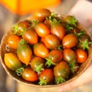 본연농장 이미지