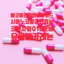 코바마 네이버블로그