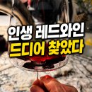 르네프 | 프랑스 레드와인 추천, 르 윌러방 샤또네프 뒤 빠프 2022 시음기
