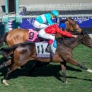 제이에스초이스 이미지