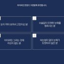 연세미모사랑의원 이미지