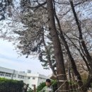 에버그린 유치원 네이버블로그
