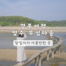 덕천민속마을 | 경북 여행 영주 | 무섬마을 당일치기 가볼만한 곳 추천 외나무다리 화장실 주차 후기
