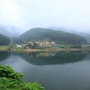 편백나무펜션 이미지