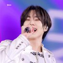 개이쁘다 이미지