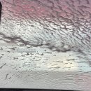 컴인워시 평택진위점 이미지