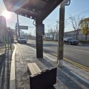 표가네안경 이미지