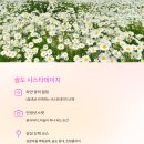장수탕자판기