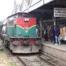 엘라(ELLA) 이미지