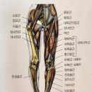 디노짐 이미지