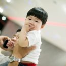 마이채