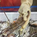 연안상회 이미지