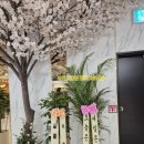 레드포스PC아레나 양주옥정점 이미지