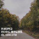 2025 비실기미술대학 수시 학생부종합전형 꼼꼼분석 -. 연세대 언더우드 테크노아트(IID, CDM,CTM) 해외고,검고포함 이미지