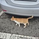 노가리 공중화장실 이미지