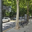 대모산 칼국수 | 강남 도심 속 힐링 코스! 대모산 등산부터 봉은사까지 완벽한 하루