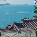 숲속의바다